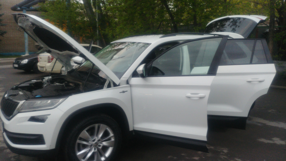 Не горит лампочка накала свечей. — Skoda Kodiaq, 2 л, 2019 года ...