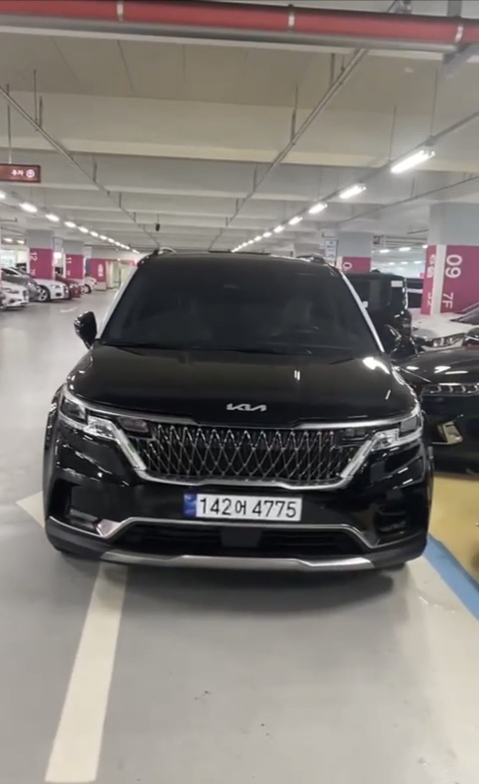 Kia Carnival 2023 под клиента — Carex Korea — Carex Korea «Новосибирск» на  DRIVE2