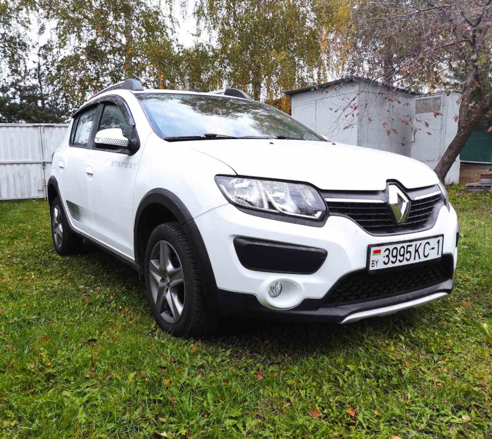 Индивидуальные номерные рамки — Renault Sandero Stepway (2G), 1,6 л, 2018  года | аксессуары | DRIVE2