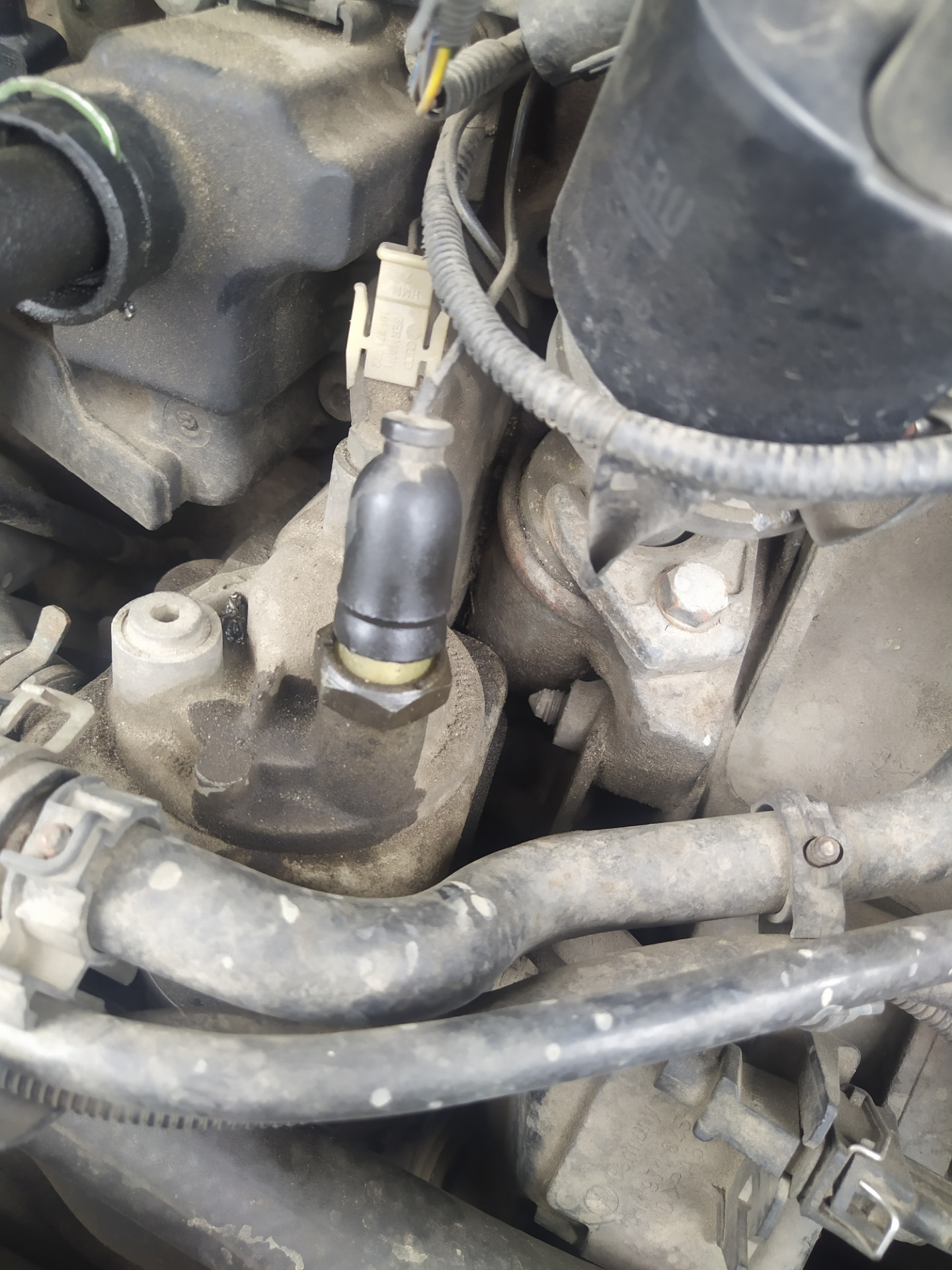 Датчик давления масла пассат б4. Датчик давления масла vw passat b3. Датчики давления масла пассат б4. 8 rp vw passat b3. Датчик давления масла гольф 2 1.