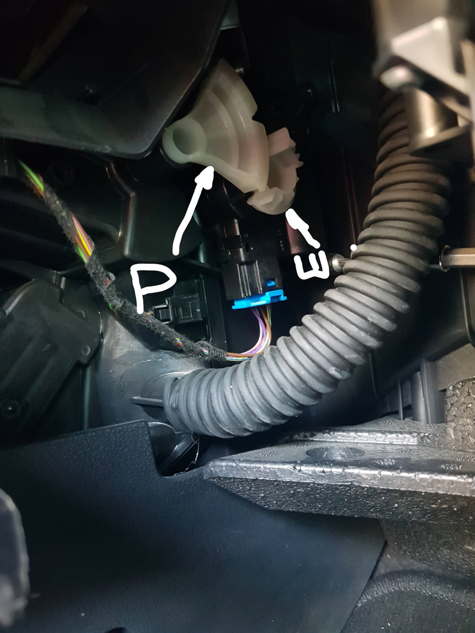 Фото в бортжурнале Skoda Kodiaq