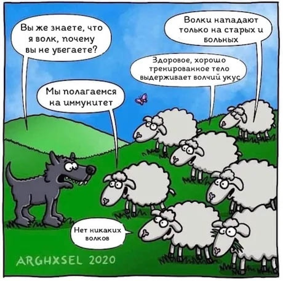 Анекдот про овец