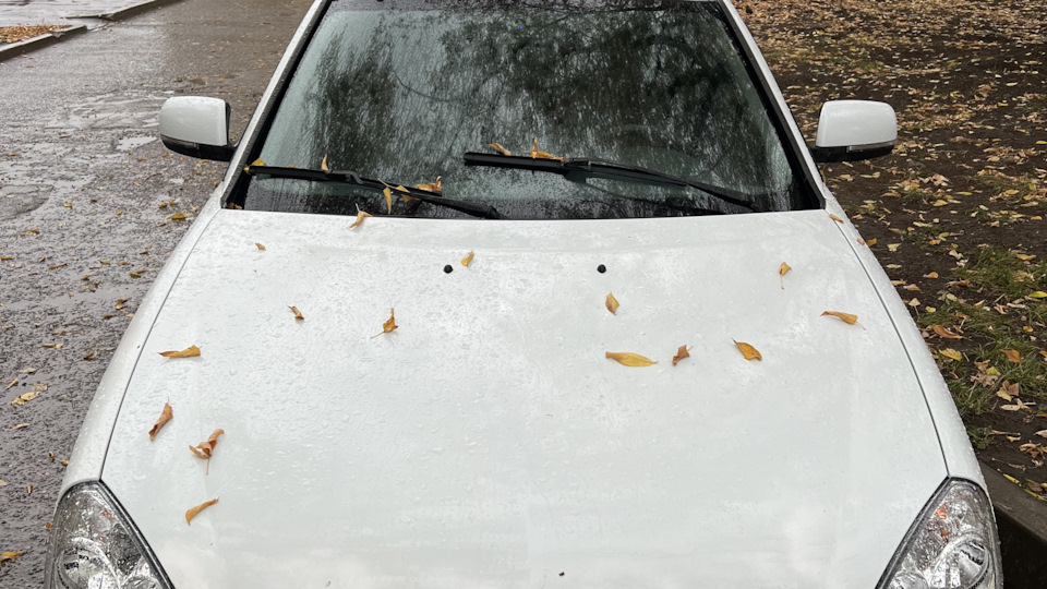 Хелп! Поворотник не выключается — Lada Приора седан, 1,5 л, 2010 года ...