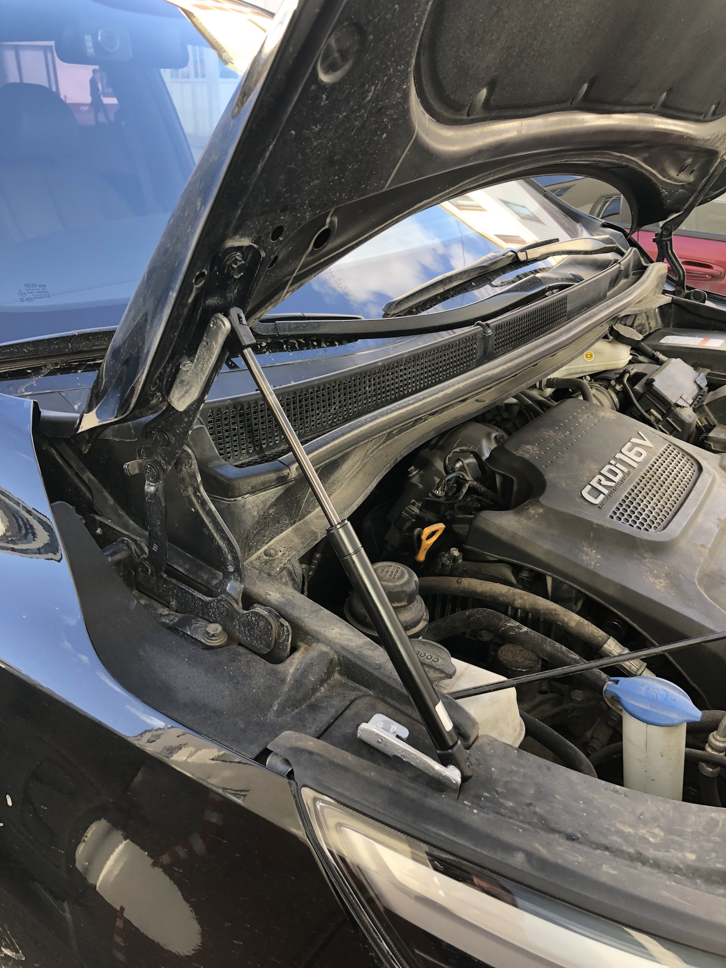 Купить Амортизаторы Капота На Киа