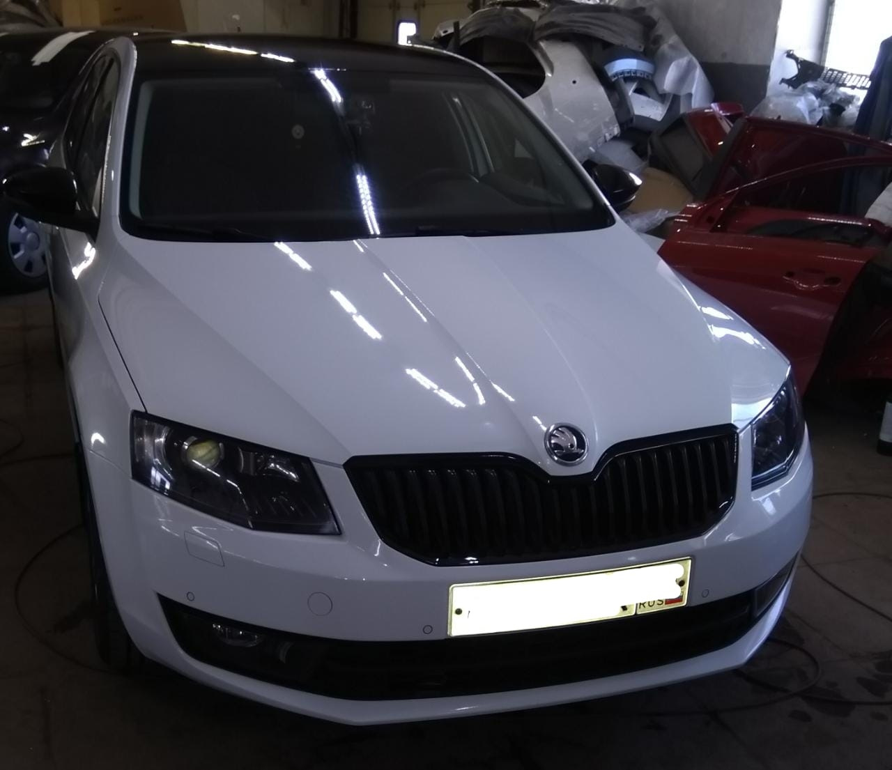 Полировка+керамика+карбон. — Skoda Octavia A7 Mk3, 1,8 л, 2016 года |  стайлинг | DRIVE2