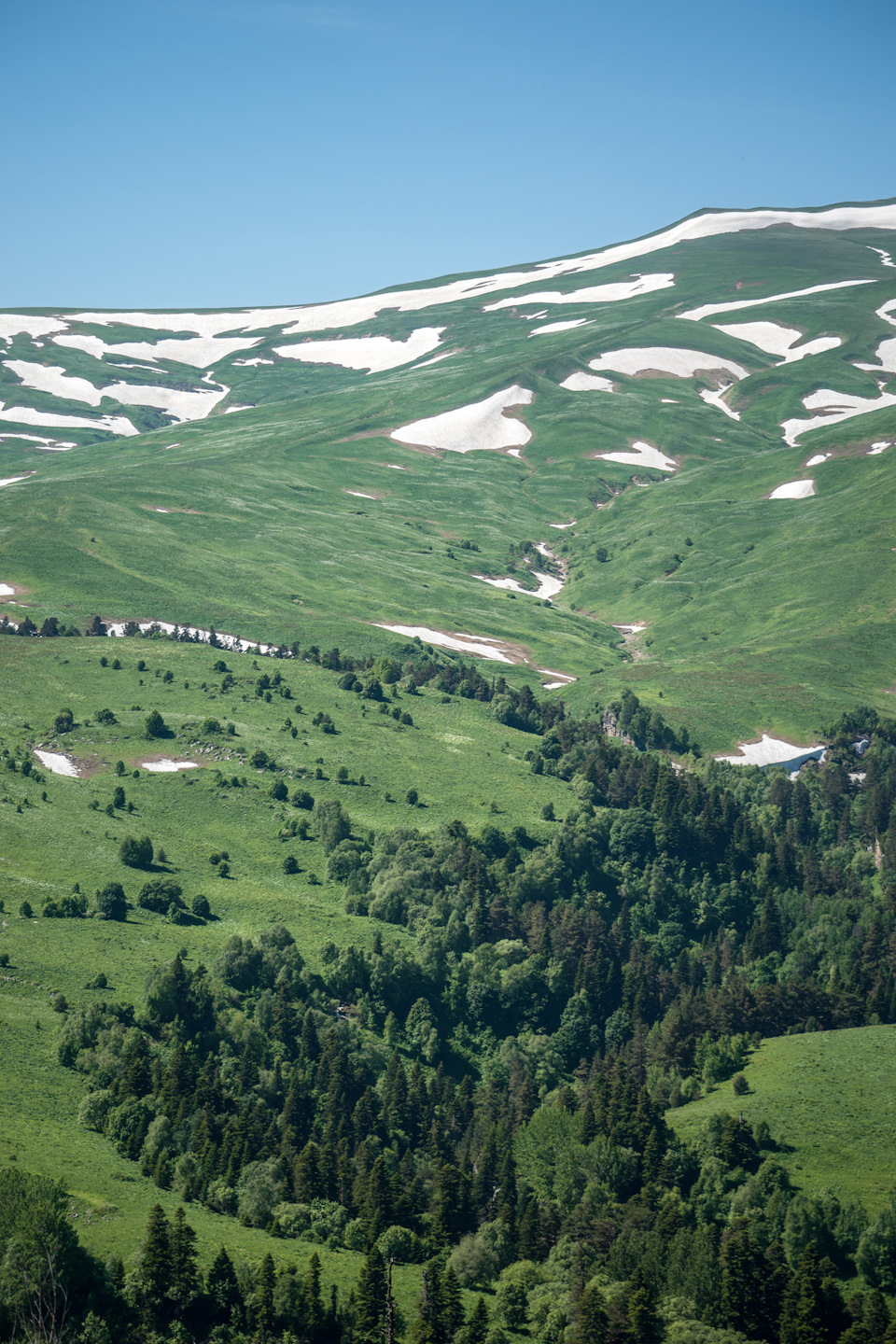 Плато лагонаки адыгея фото