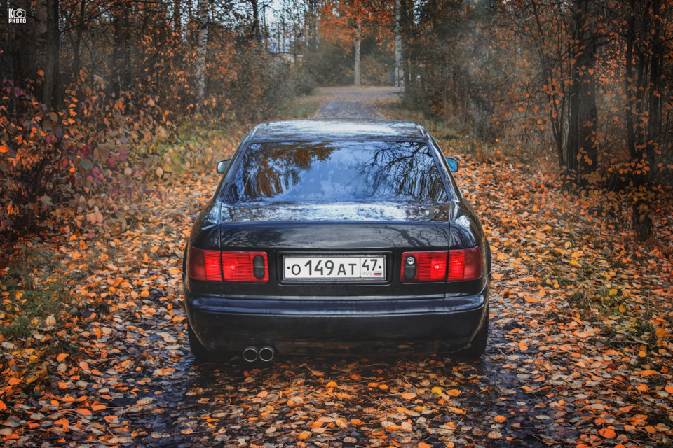 Фото в бортжурнале Audi A8 (D2)