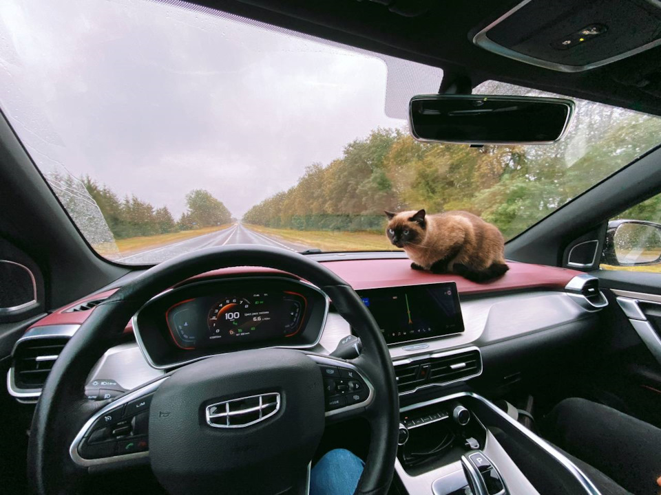 Фото в бортжурнале Geely Coolray (1G)