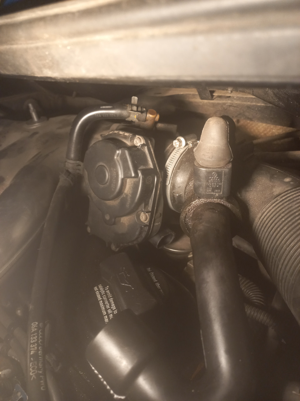 Фото в бортжурнале Volkswagen New Beetle