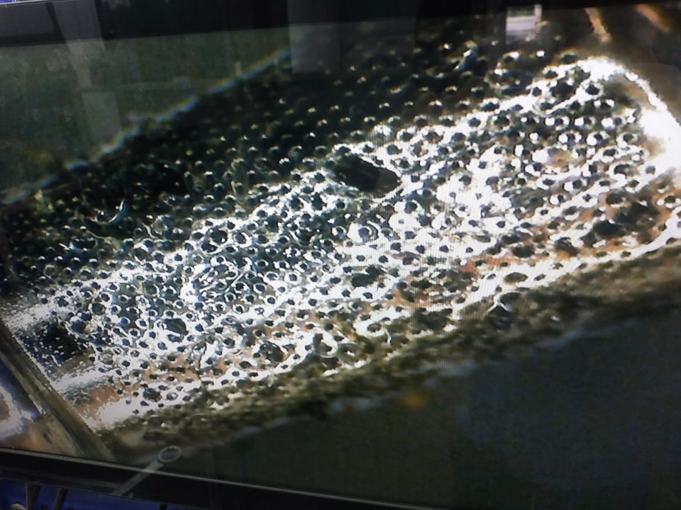 Вибрации на холостых оборотах — Audi Q7 (1G), 4,2 л, 2008 года | визит ...