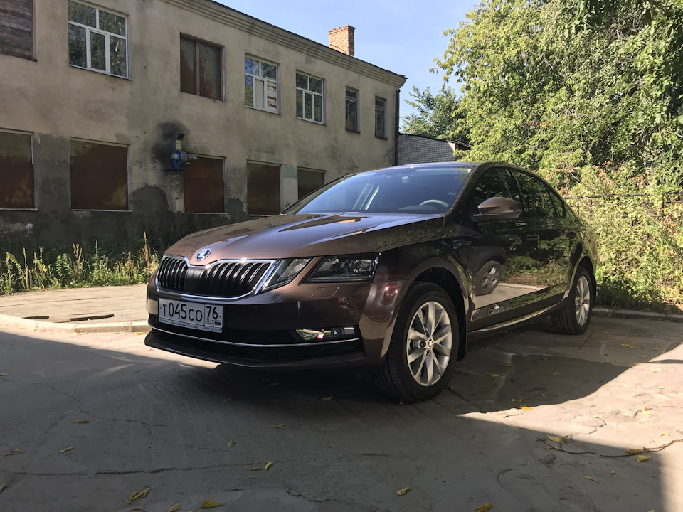 Skoda черный потолок