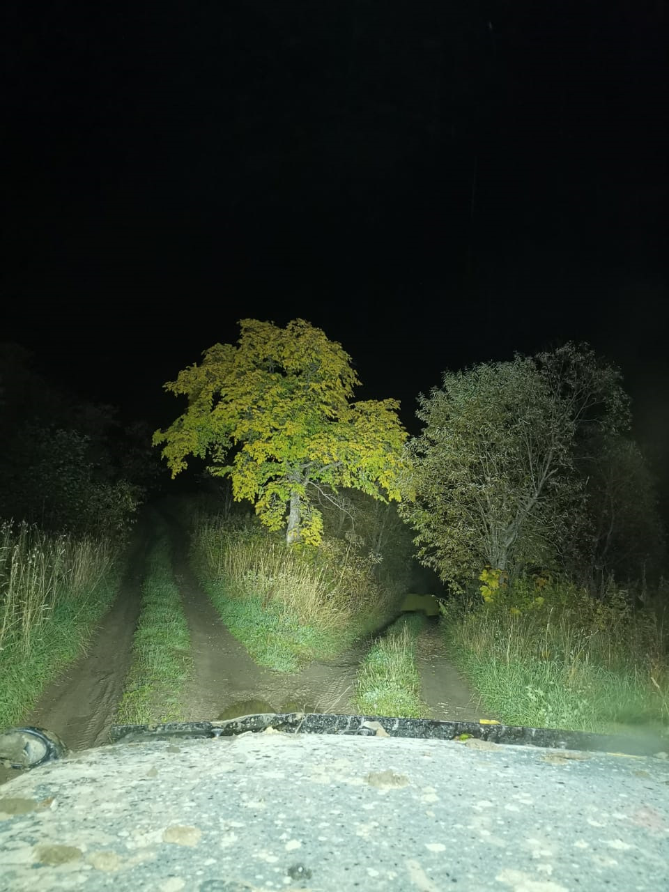 Сказ о том, как сальник тёк… (или не сальник) — Dodge Stratus (2G), 2,4 ...