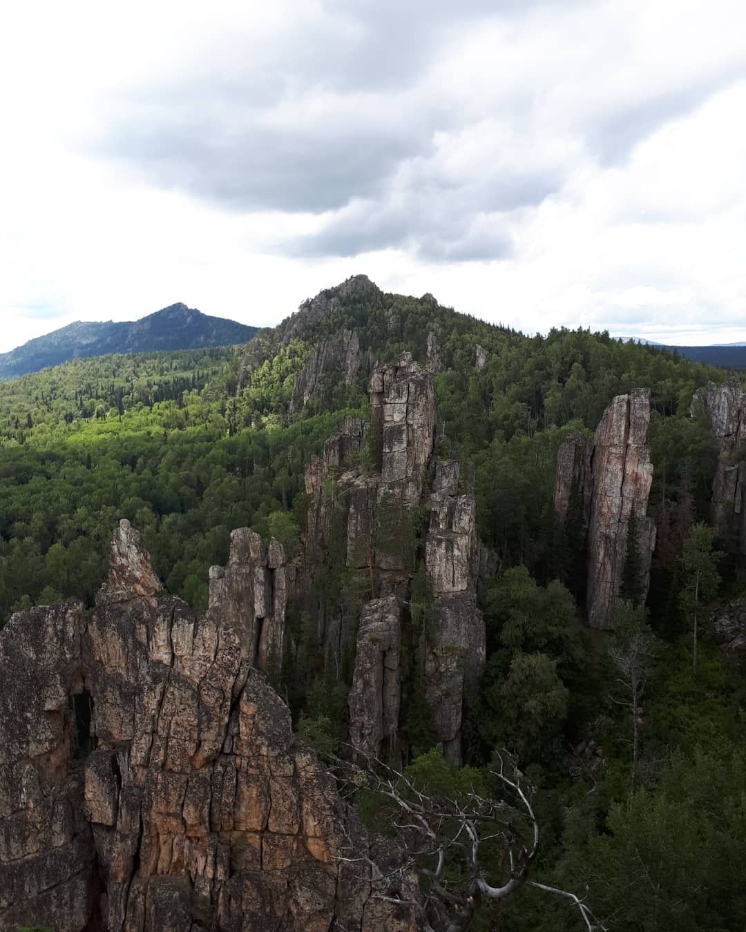 Зубы шурале фото айгир