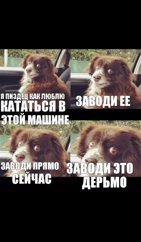 заводи это дерьмо