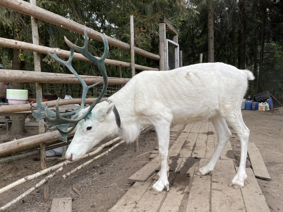 Фото в бортжурнале Cadillac Escalade (3G)