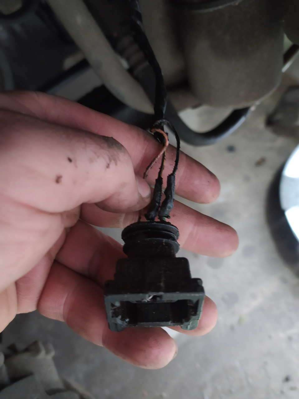 Показывает ошибку "сменить топливный фильтр" — Renault Megane II, 1,5 л ...