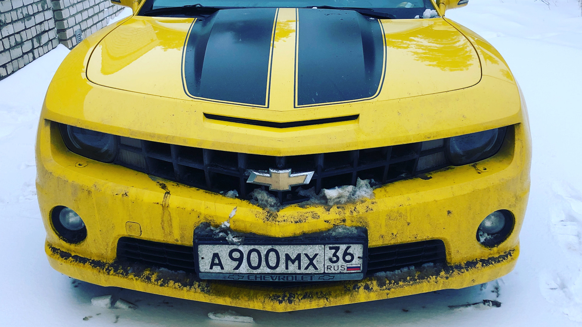 Chevrolet Camaro диски Бамблби