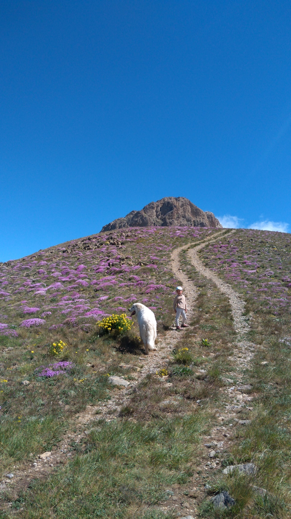 Предвершинный гребень. Можно было и доехать сюда, но пешая тропа очень красива — Mitsubishi Pajero Sport (2G)