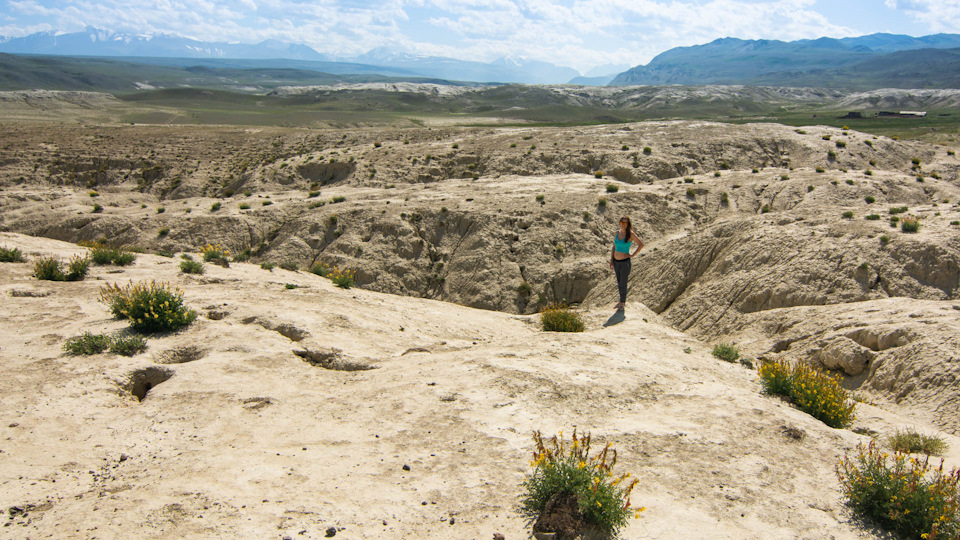Фото в бортжурнале Suzuki Vitara XL7