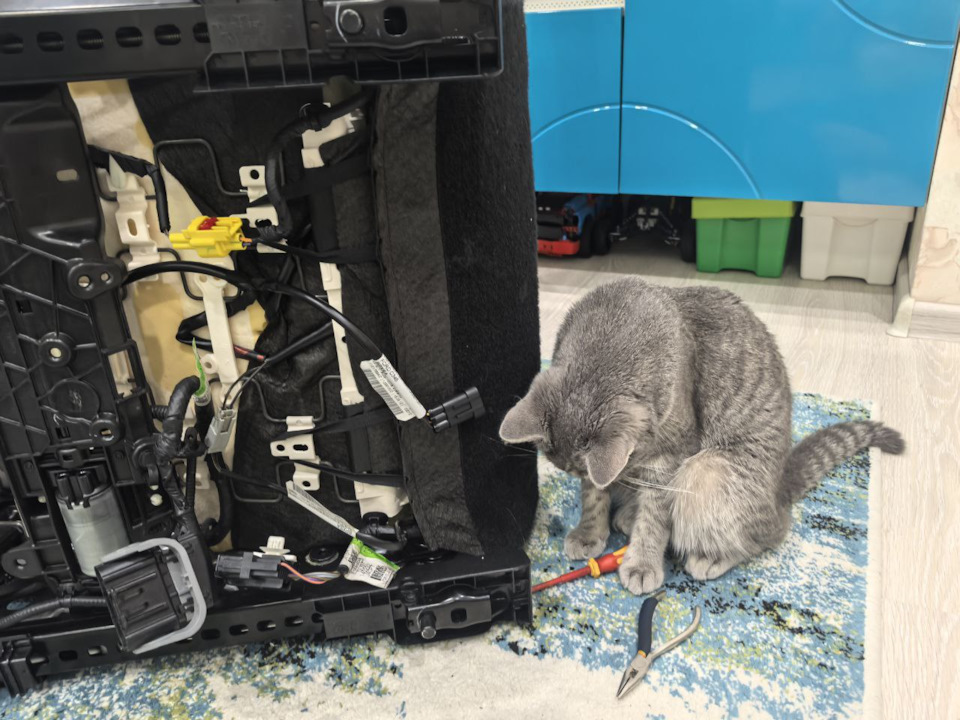 Моя помощница 😁 ее, кстати, зовут Матильда — Ford Fusion (America) (2G)