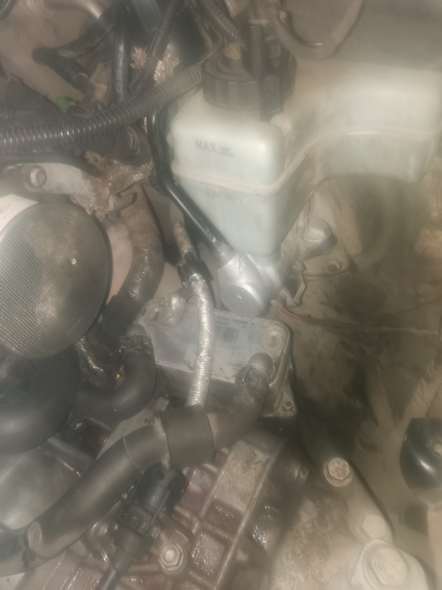 Течь антифриза. Масло в расширительном бачке. — Volkswagen Passat B6, 1 ...