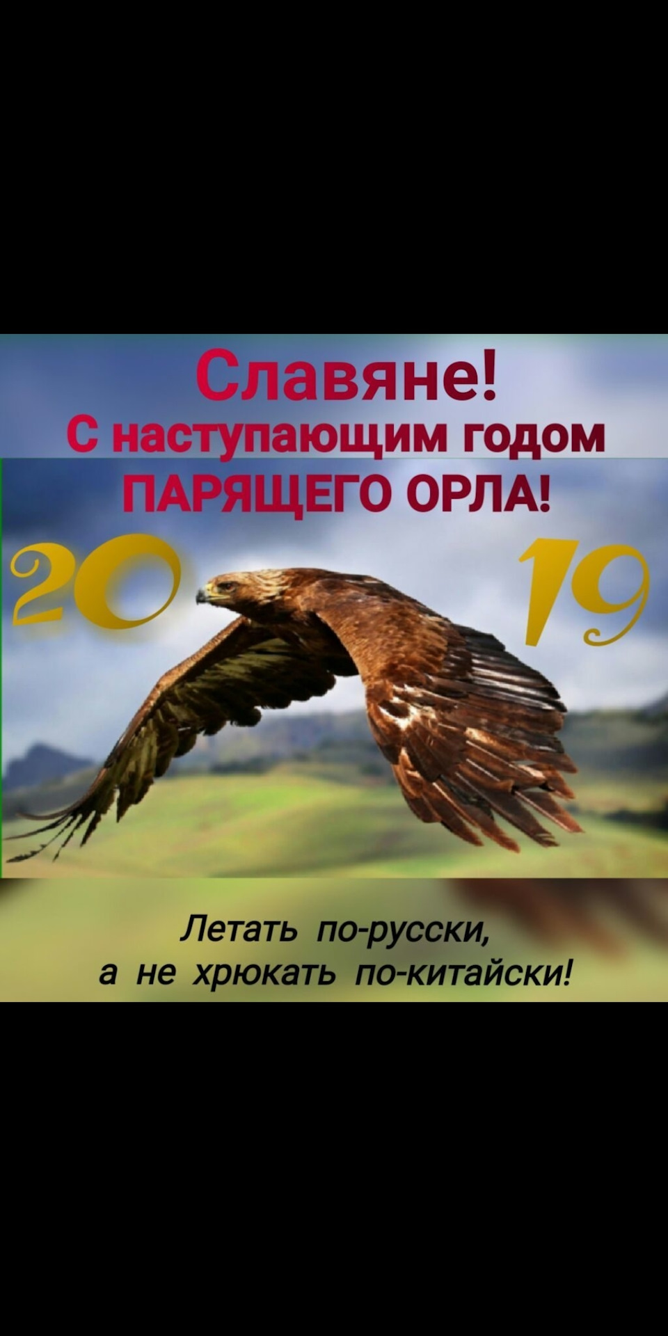 парящий орел по славянскому календарю. орел по славянскому календарю. парящий орел по славянскому календарю. год парящего орла по славянскому. парящий орел по славянскому календарю характеристика.