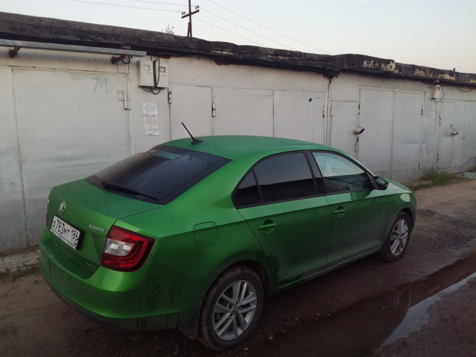 Тонировка, сетка, обкатка… — Skoda Rapid (1G), 1,6 л, 2017 года ...