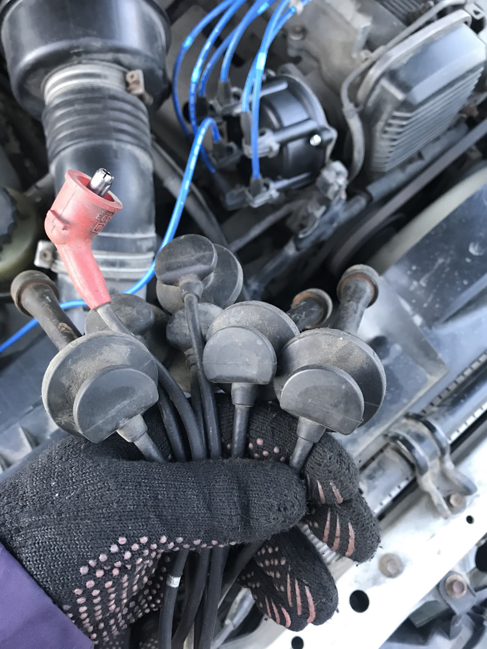 Замена масло в заднем редукторе и смазка развальных болтов. — KIA ...