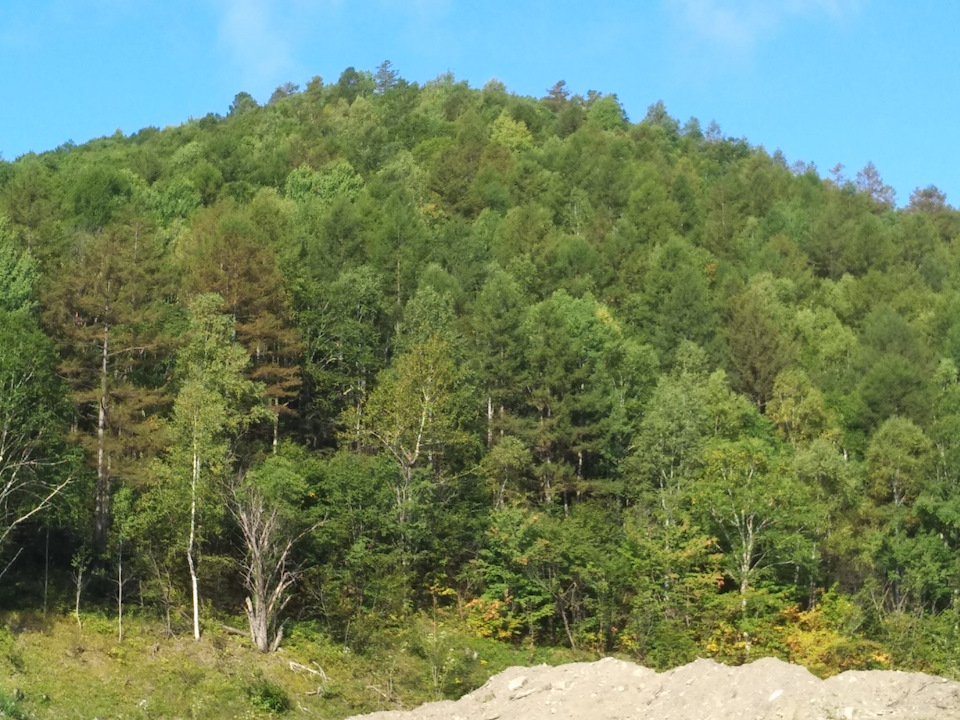 Прибытие на место — ГАЗ Соболь 4х4, 2,7 л, 2019 года | своими руками ...