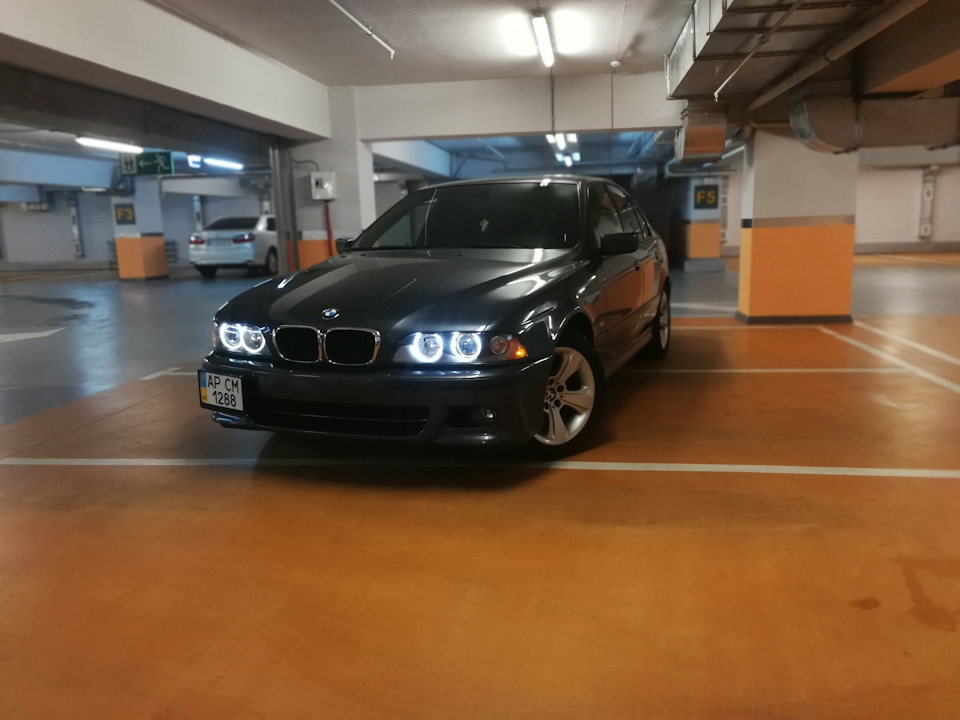 Фото в бортжурнале BMW 5 series (E39)