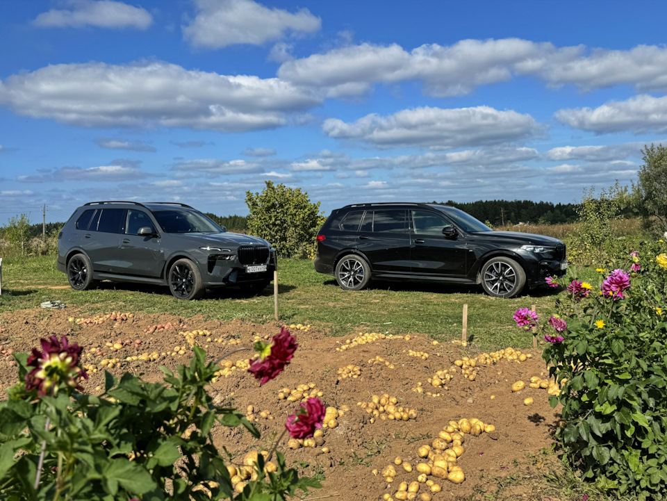 Фото в бортжурнале BMW X7 (G07)