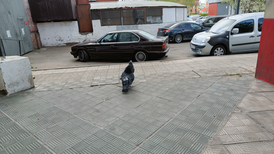 j0Yt48HuFgk1wtQMeJGAXOntF2c-960.jpg