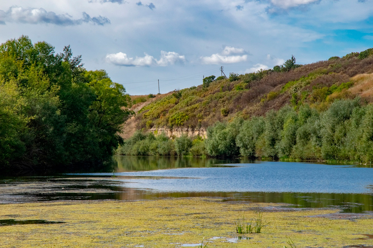 Село троицкое липецкая область карта