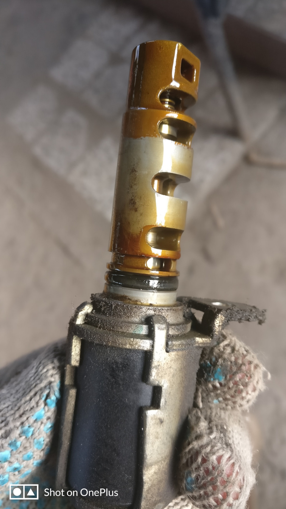 Фото в бортжурнале Toyota Corolla (120)