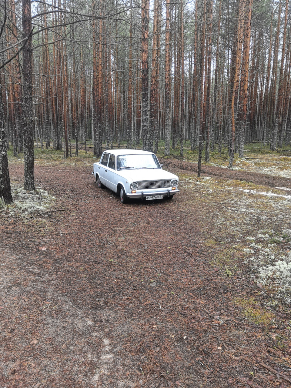 Очередное ТО — Ford S-Max (1G), 2,3 л, 2011 года | плановое ТО | DRIVE2