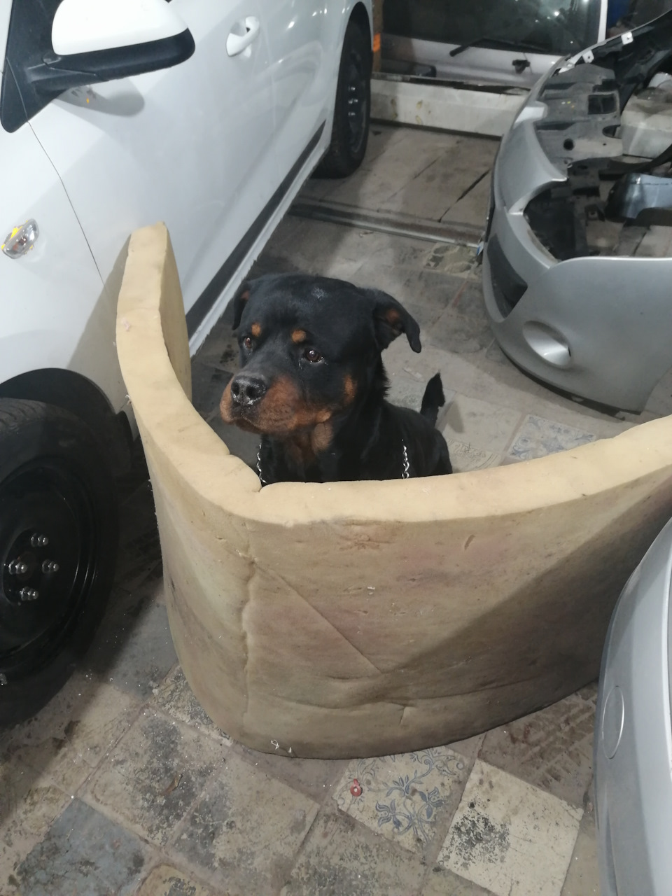 Главный сотрудник))) — Chevrolet Cruze (1G)