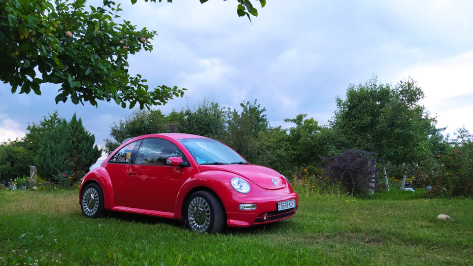 VW New Beetle хамелеон