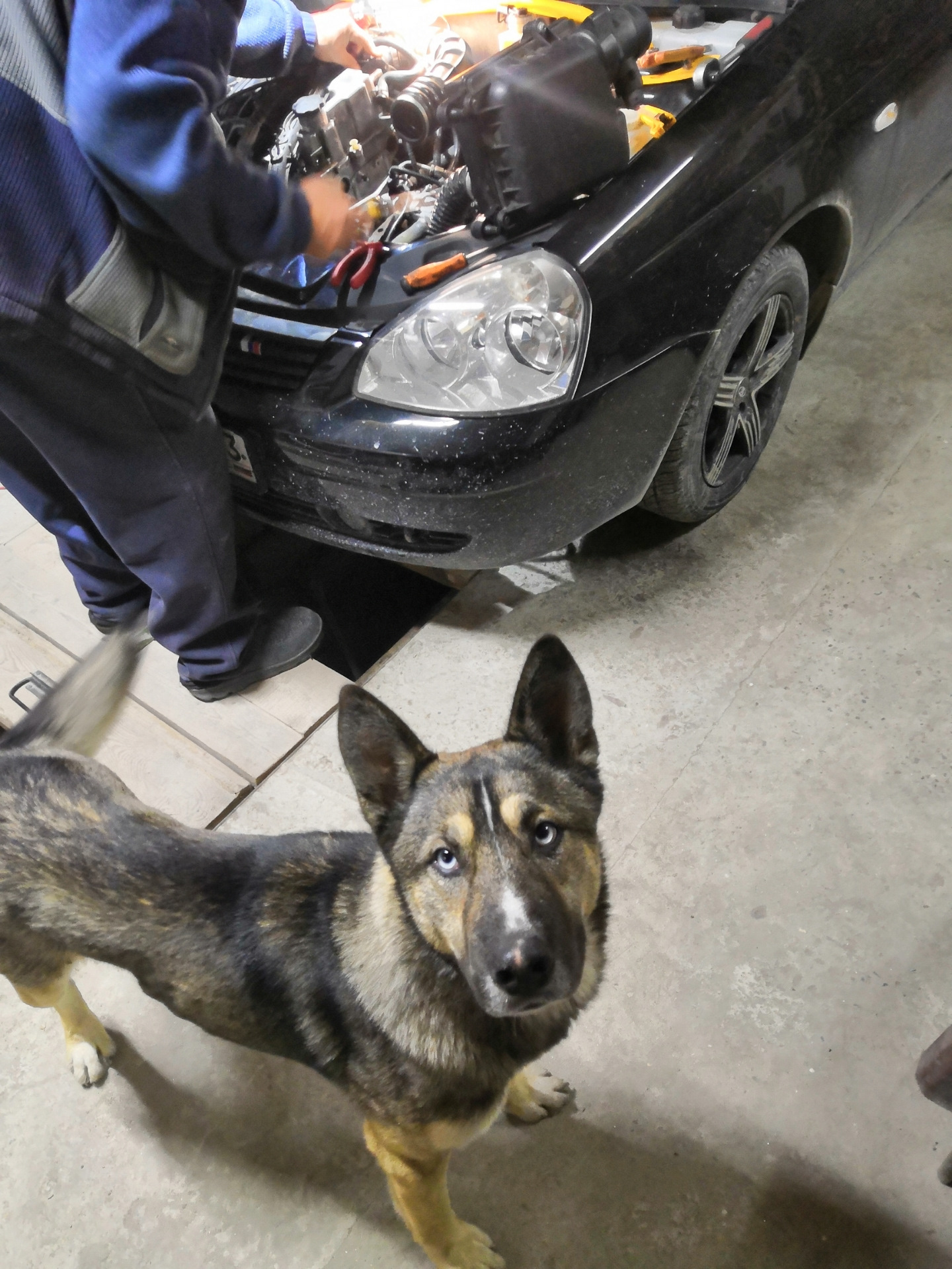 Боль. Снятие и чистка форсунок — Lada Приора хэтчбек, 1,6 л, 2009 года ...