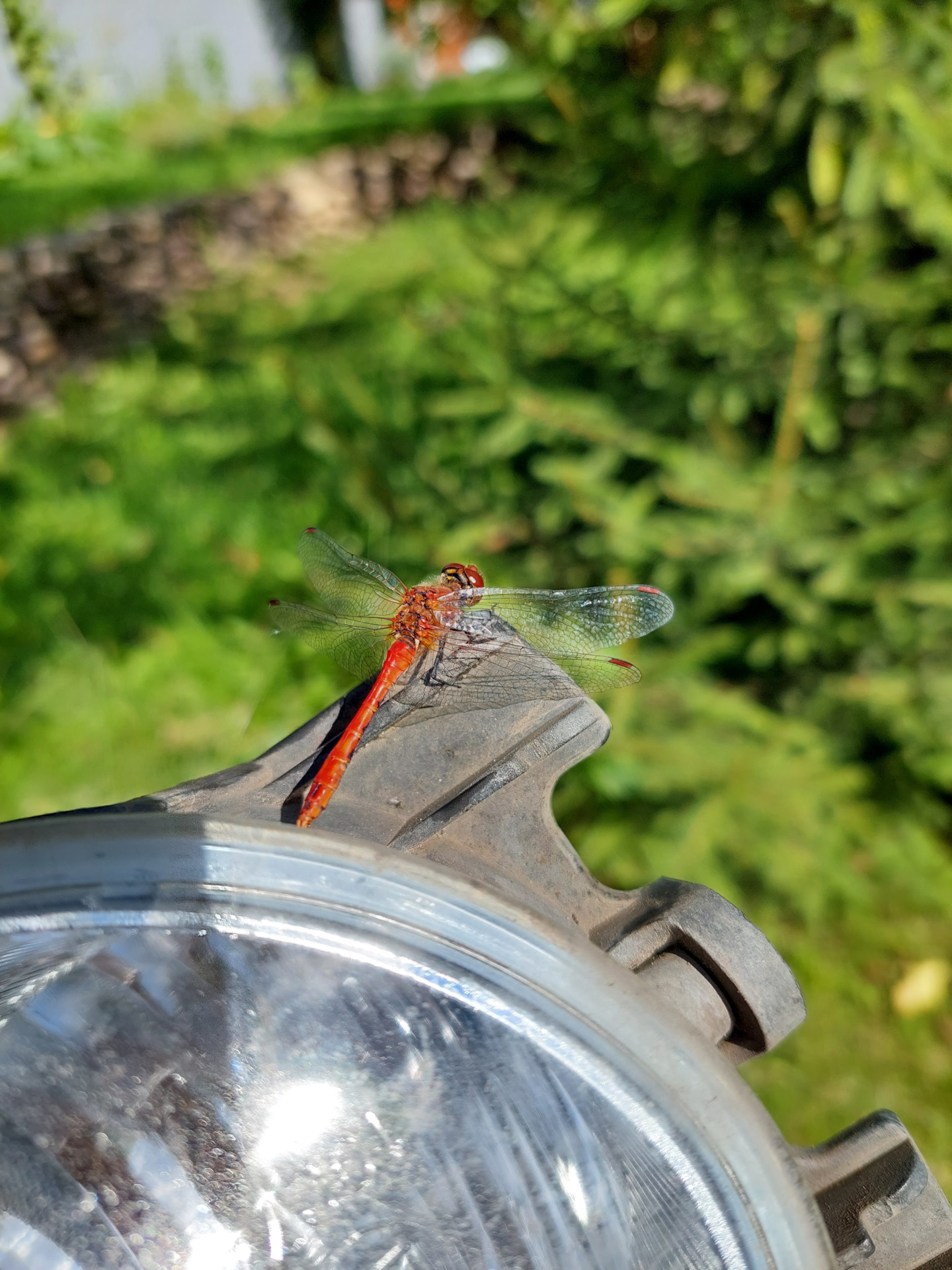 Запотевание ПТФ — Honda Pilot (2G), 3,5 л, 2010 года | своими руками ...