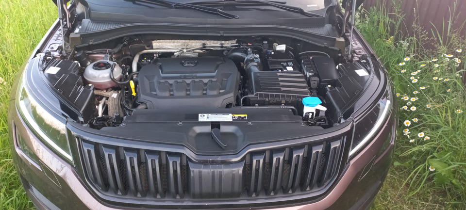3 — Skoda Kodiaq (1G)