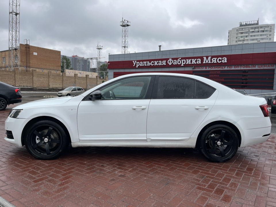 Фото в бортжурнале Skoda Octavia A7 Mk3
