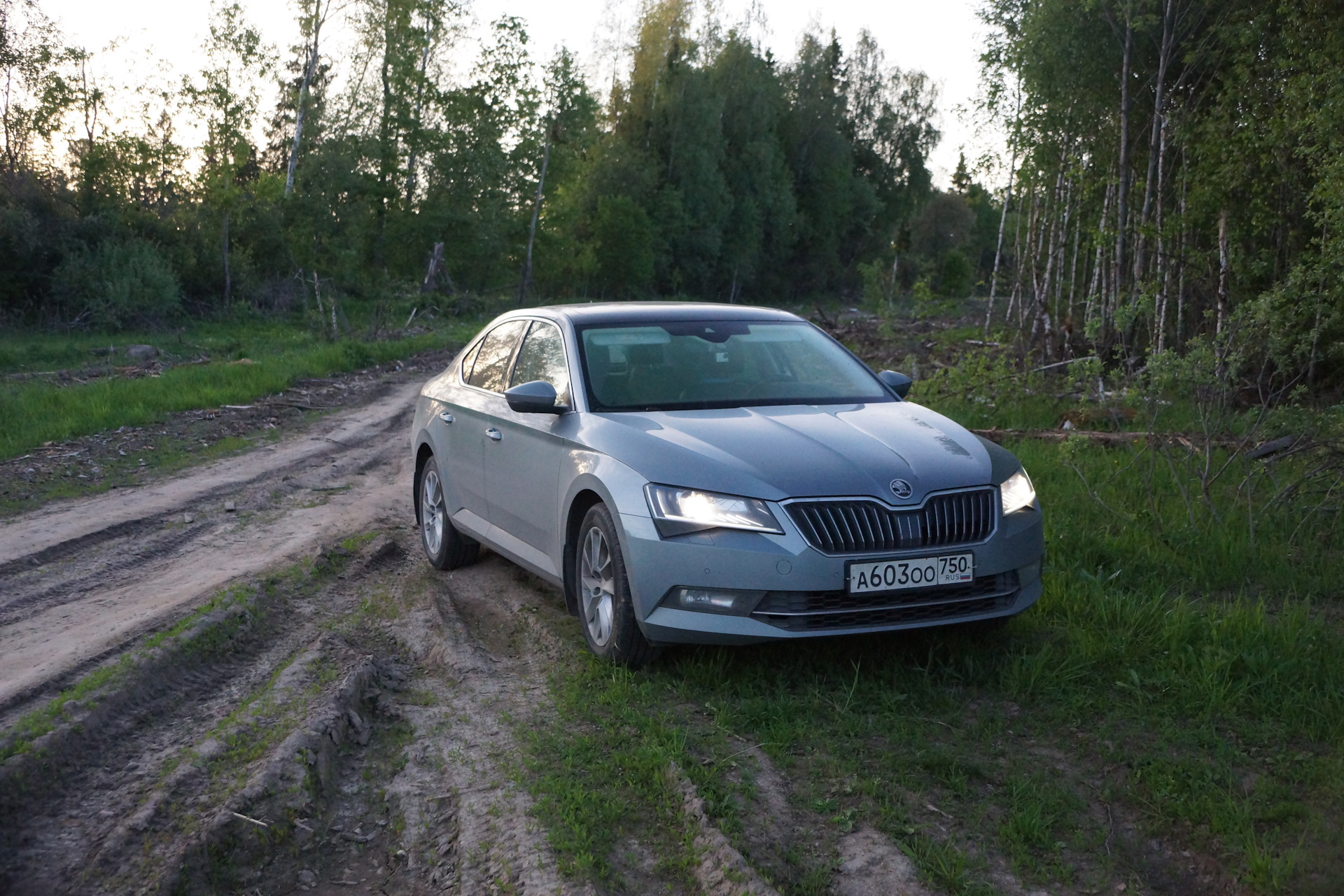 Skoda Superb спустя 110000 км (часть 1) — Skoda Superb Mk3, 1,4 л, 2017  года | наблюдение | DRIVE2