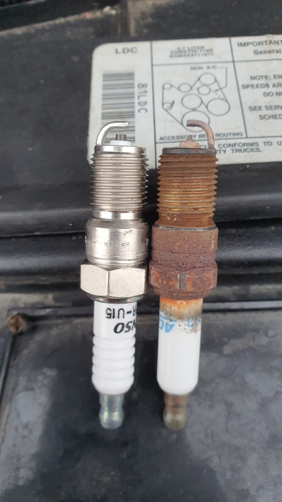 Фото в бортжурнале GMC Yukon (GMT400)