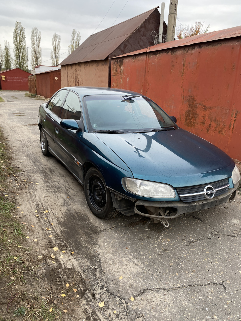 Как Molly поменяла обличие;) — Opel Omega B, 2 л, 1999 года | запчасти |  DRIVE2