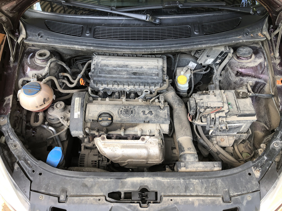 Большое ТО часть 2 — Skoda Fabia Mk2, 1,4 л, 2010 года | плановое ТО ...