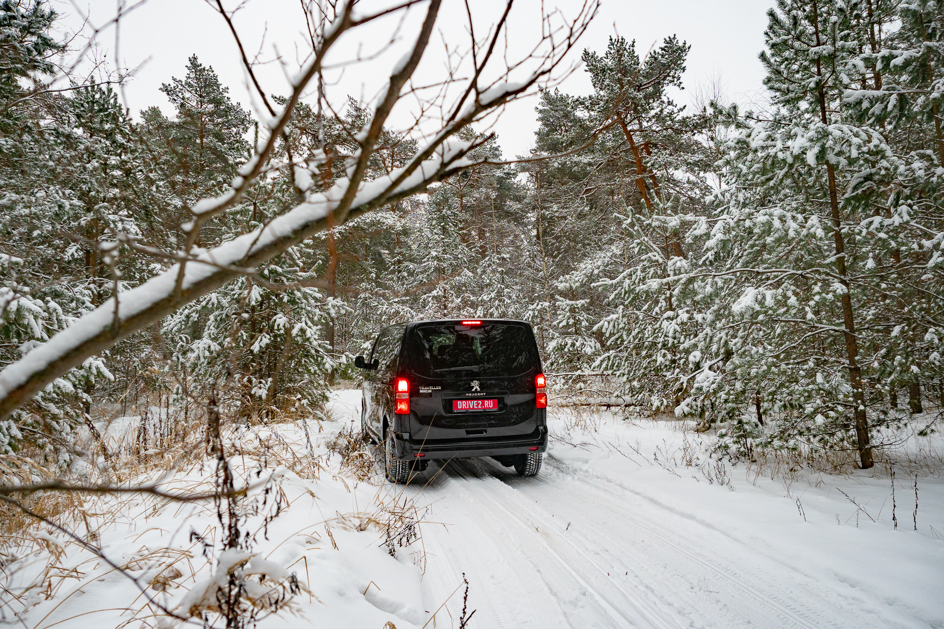 Пежо зимой. Peugeot traveller 4x4 запаска. Peugeot 4x4 Dangel 2020. Traveller 4x4 Бурцев. Поездка на машине по заснеженному лесу.