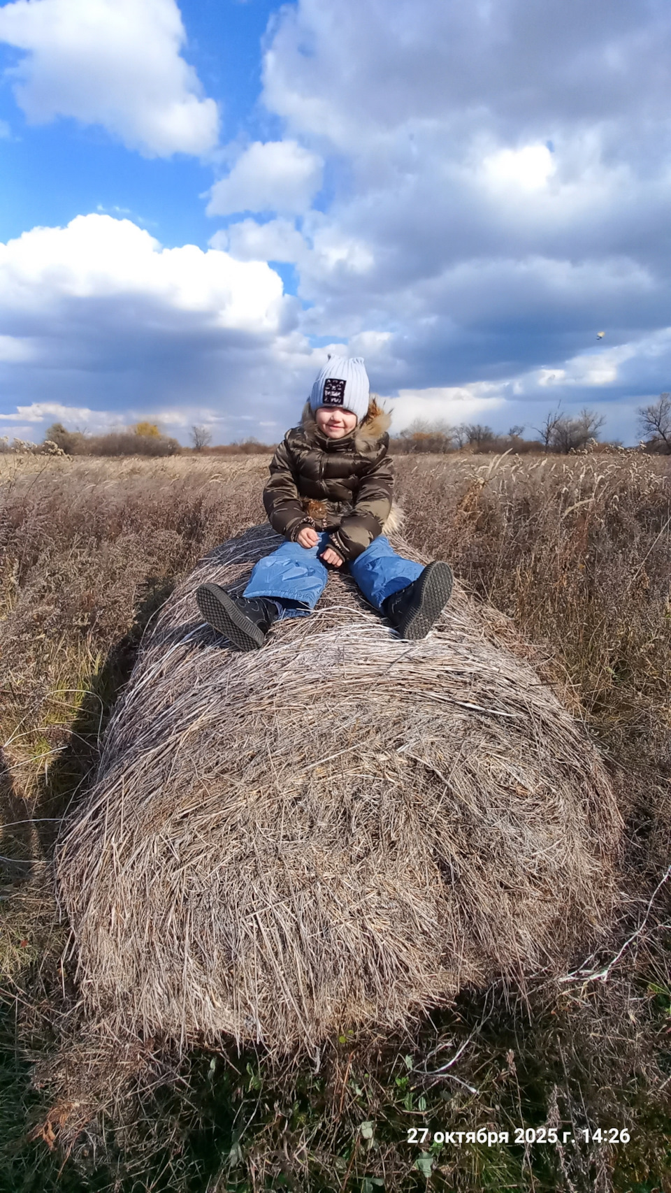 Фото в бортжурнале Willys MB