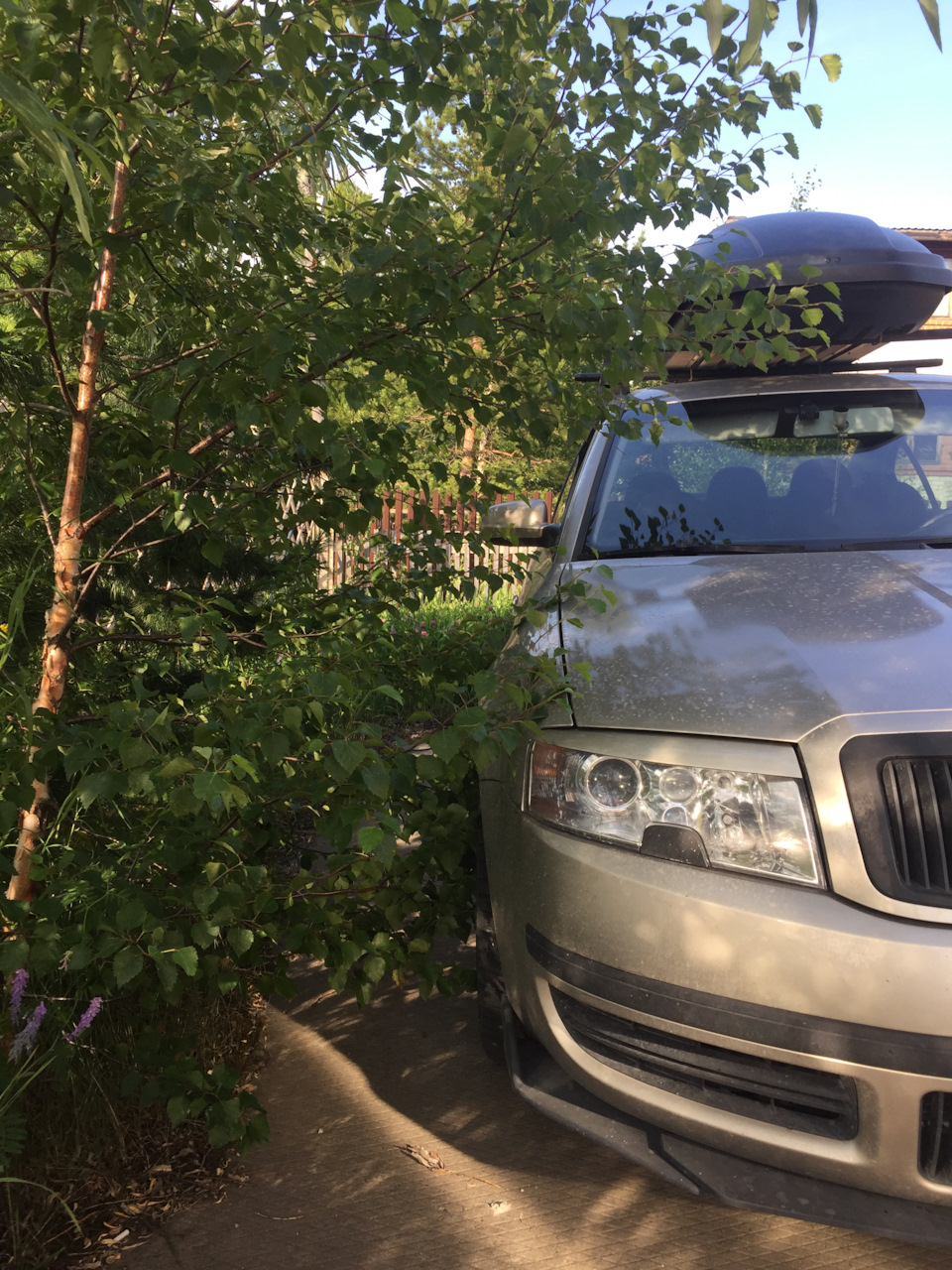 Фото в бортжурнале Skoda Superb Mk1