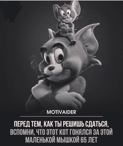 jGzQI40kPNXWsRcrTJbDvIIflXI-480.jpg