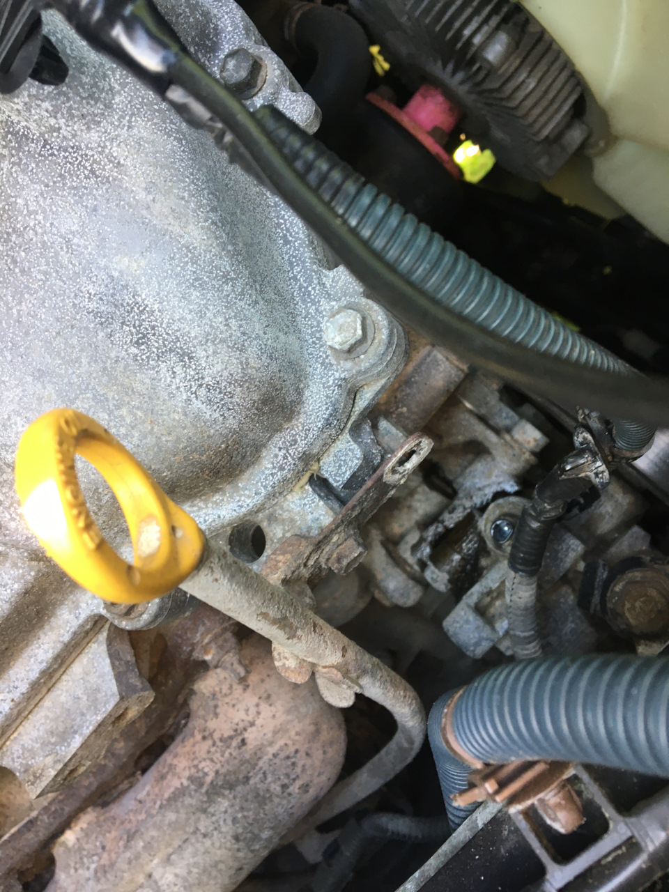 24. Продувка адсорбера + фильтр, замена сетки vvt-i + клапан карт ...